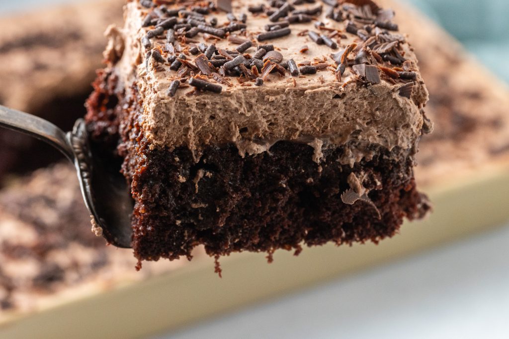 piece of cake on the spatula