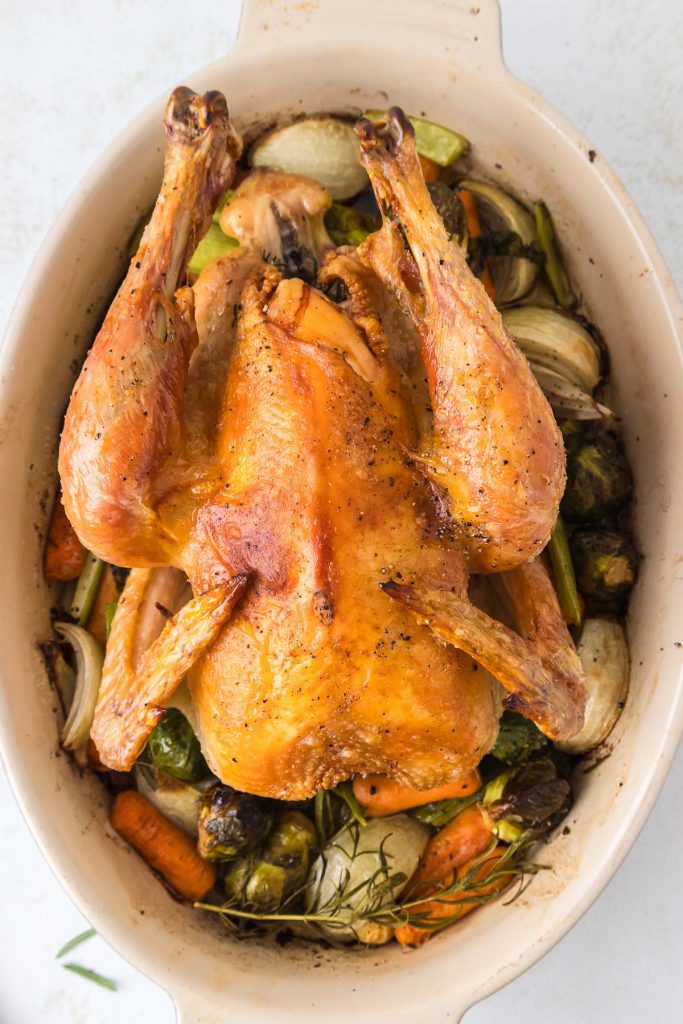 Golden roasted chicken served with tender, colorful roasted vegetables on a baking tray.