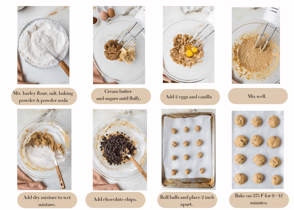 Instructions for Barley Cookies. 