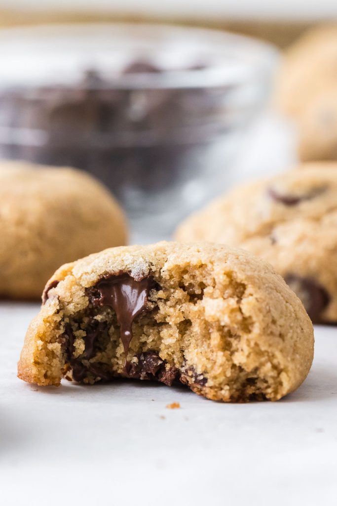 Chocolate Chip Barley Cookies