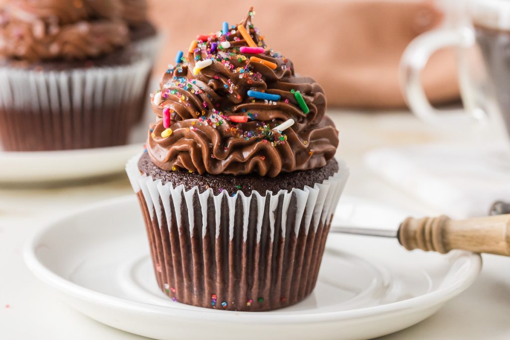 Chocolate Cupcake with frosting and sprinkles