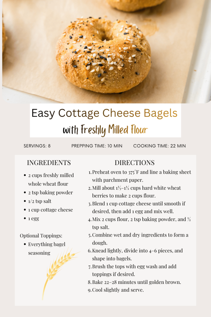 Recipe card for Easy Cottage Bagels