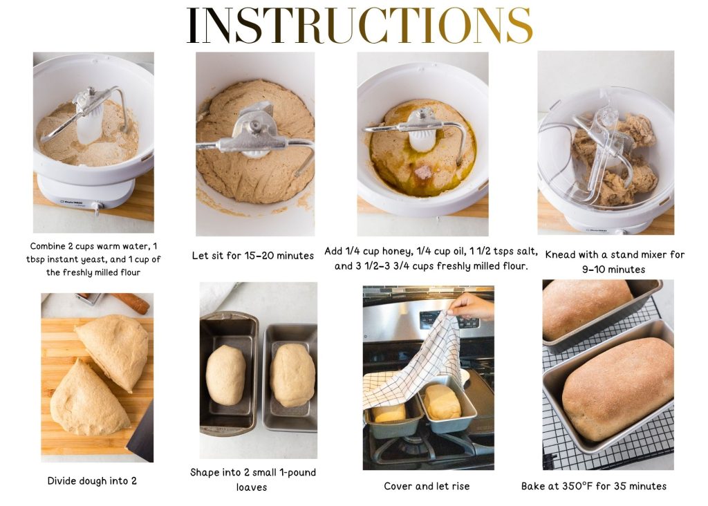 instructions of yeast bread with detailed steps 