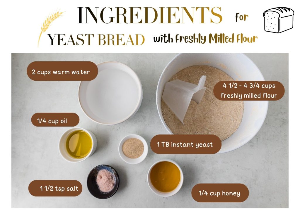 ingredients for yeast loaf on the table - olive oil, salt, honey, yeast, water, freshly milled flour