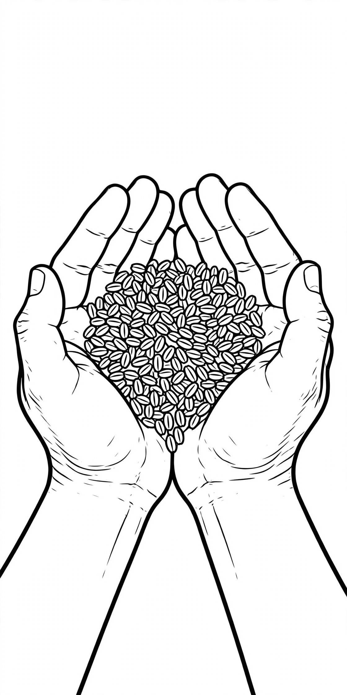 Two cupped hands full of wheat berries drawing
